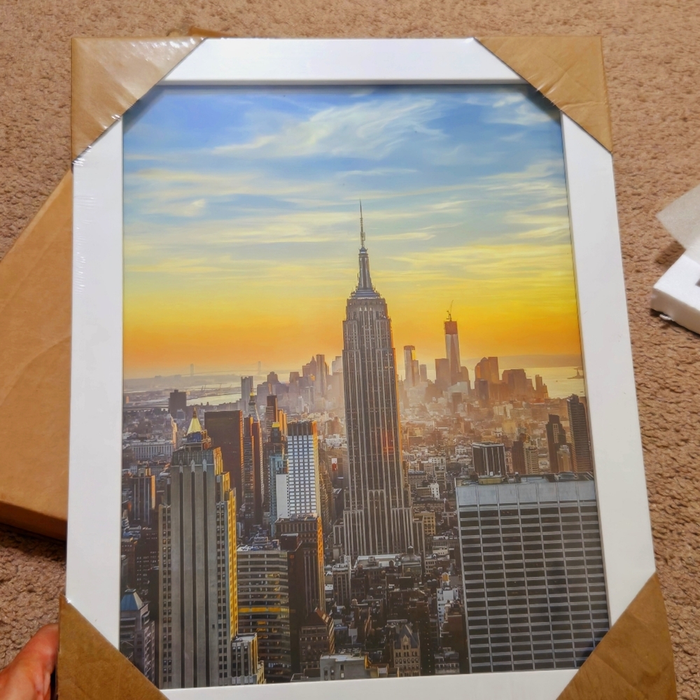 New York&Frame.Retail$56 NIB